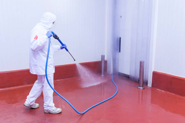 Professional Pressure Washing Services in Kenly, NC